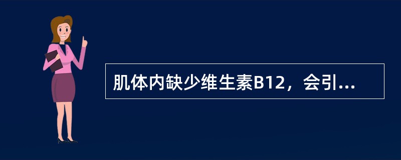 肌体内缺少维生素B12，会引起（）。