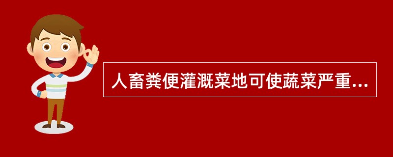 人畜粪便灌溉菜地可使蔬菜严重污染（）。