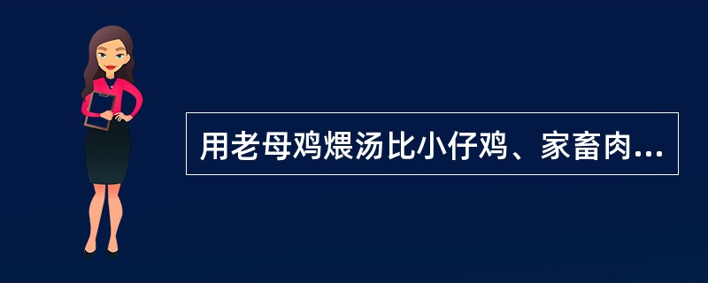 用老母鸡煨汤比小仔鸡、家畜肉煨汤味道鲜美的原因是（）。