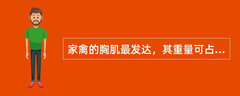 家禽的胸肌最发达，其重量可占全身肌肉的40以下。（）