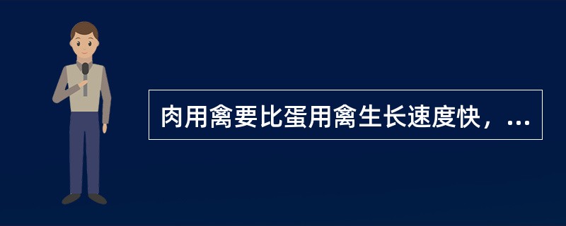 肉用禽要比蛋用禽生长速度快，（），白肌纤维的数量多。