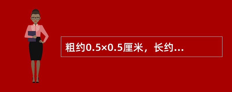 粗约0.5×0.5厘米，长约3.5～4.5厘米，因粗如竹筷，故又称之为“筷子丝”。（）