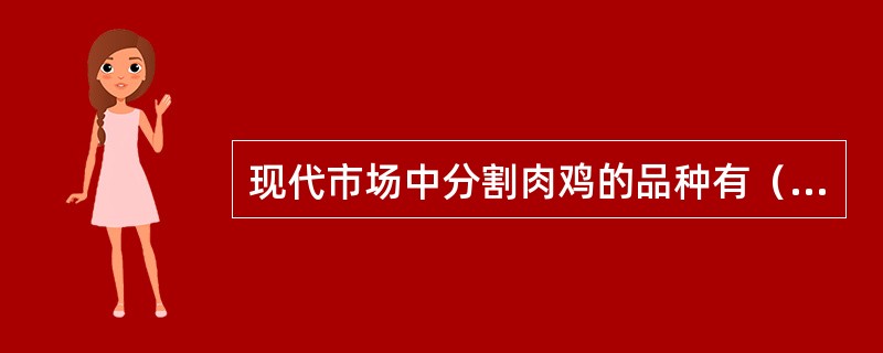 现代市场中分割肉鸡的品种有（）。