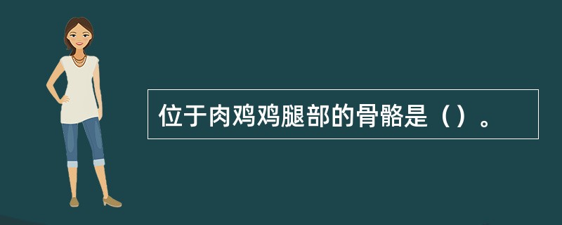 位于肉鸡鸡腿部的骨骼是（）。