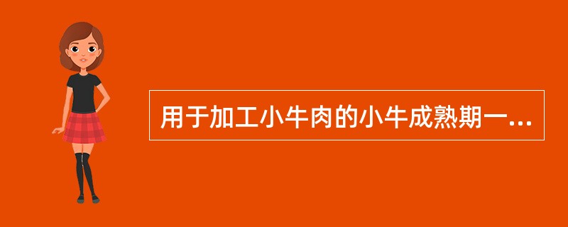 用于加工小牛肉的小牛成熟期一般是在（）。