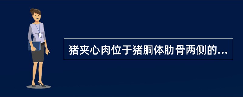猪夹心肉位于猪胴体肋骨两侧的后下方。（）