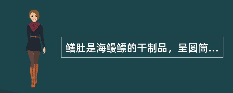 鳝肚是海鳗鳔的干制品，呈圆筒形，两头尖。（）