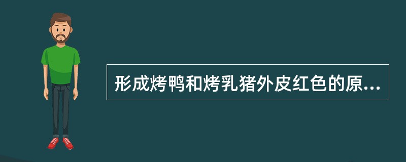 形成烤鸭和烤乳猪外皮红色的原因是（）。