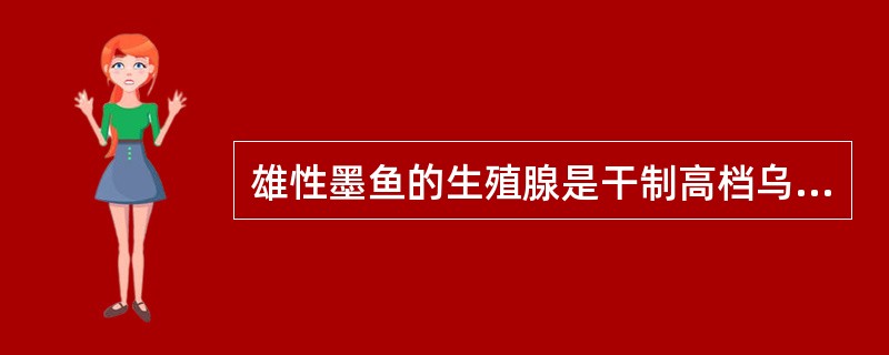 雄性墨鱼的生殖腺是干制高档乌鱼蛋的原料，批量加工时要保留。（）