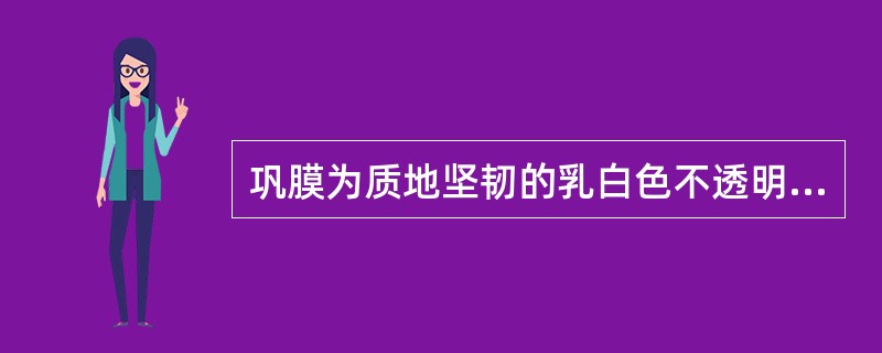 巩膜为质地坚韧的乳白色不透明（），位于眼球后方5/6部分。