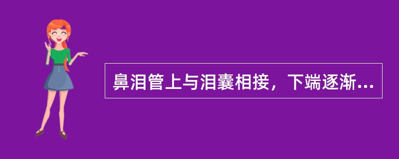 鼻泪管上与泪囊相接，下端逐渐变窄，开口于（）。