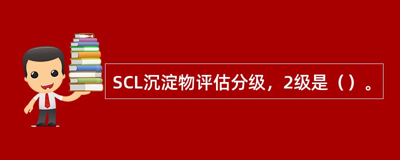 SCL沉淀物评估分级，2级是（）。