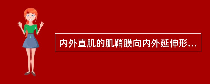 内外直肌的肌鞘膜向内外延伸形成的扇形纤维膜是（）。