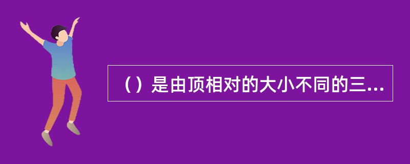 （）是由顶相对的大小不同的三棱镜旋转所组成。