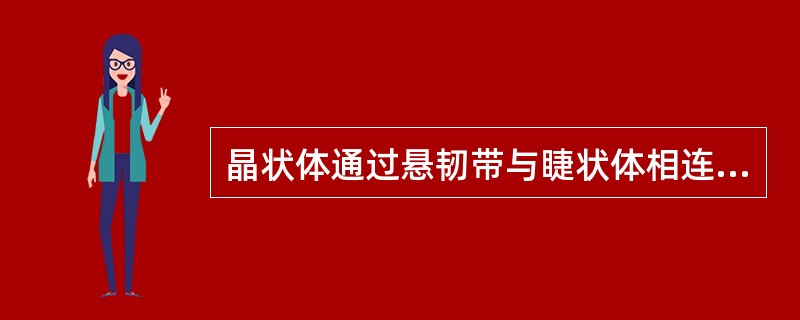 晶状体通过悬韧带与睫状体相连。（）