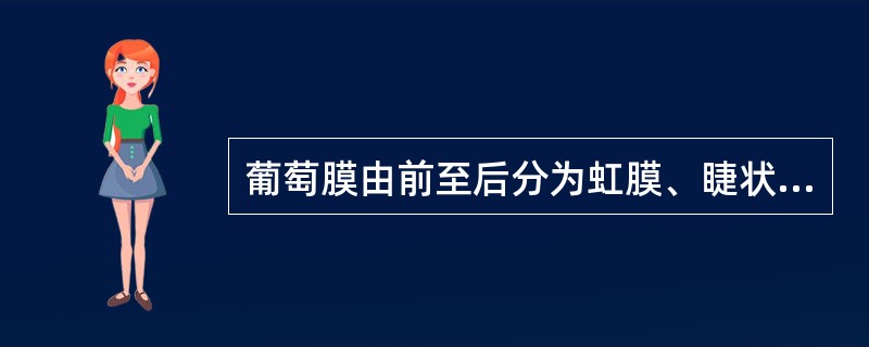 葡萄膜由前至后分为虹膜、睫状体、脉络膜。（）