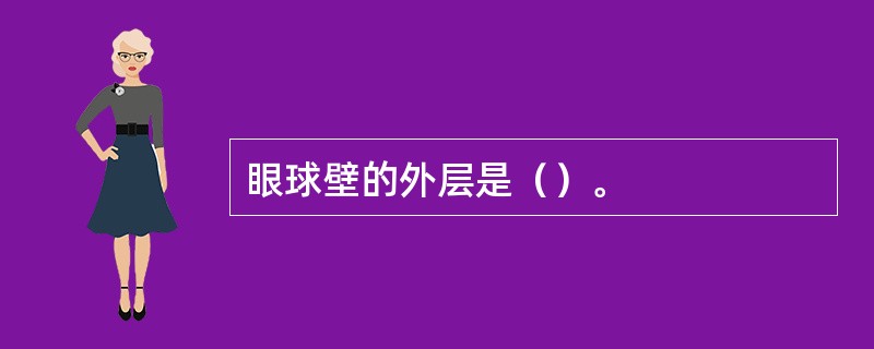 眼球壁的外层是（）。