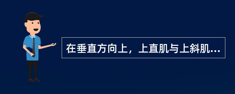 在垂直方向上，上直肌与上斜肌互为一对协同肌。（）