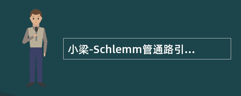 小梁-Schlemm管通路引流房水是指房水生成后经后房、瞳孔、前房，进入小梁网、Schlemm管，最后经睫状体及脉络膜上腔引流至巩膜组织。（）