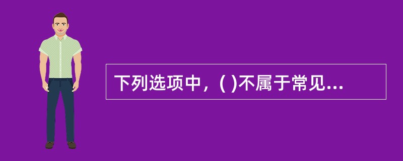 下列选项中，( )不属于常见的典型配置项。