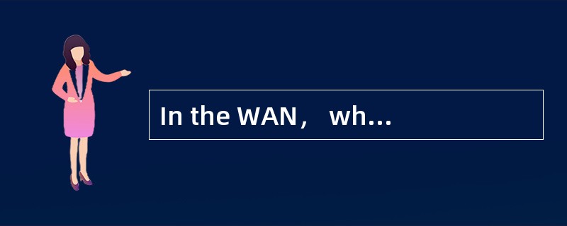 In the WAN， when a point-to-point subnet is used， an important design issue is the roucer interconne