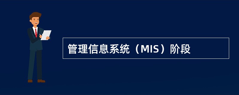 管理信息系统（MIS）阶段