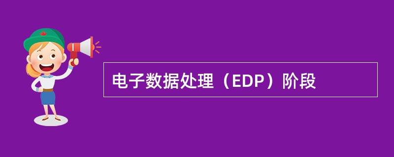 电子数据处理（EDP）阶段