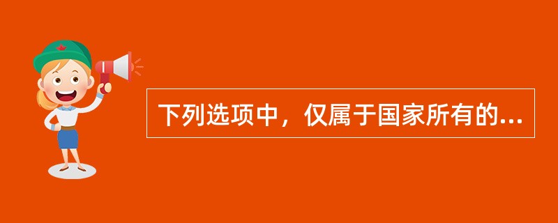 下列选项中，仅属于国家所有的自然资源有（ ）。