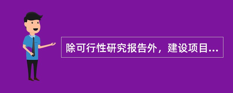 除可行性研究报告外，建设项目投资决策阶段所形成的成果有（　　）。