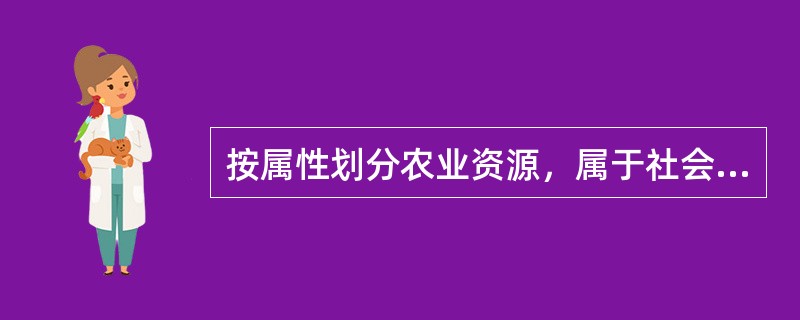 按属性划分农业资源，属于社会经济资源的是（　　）。[2005年真题]