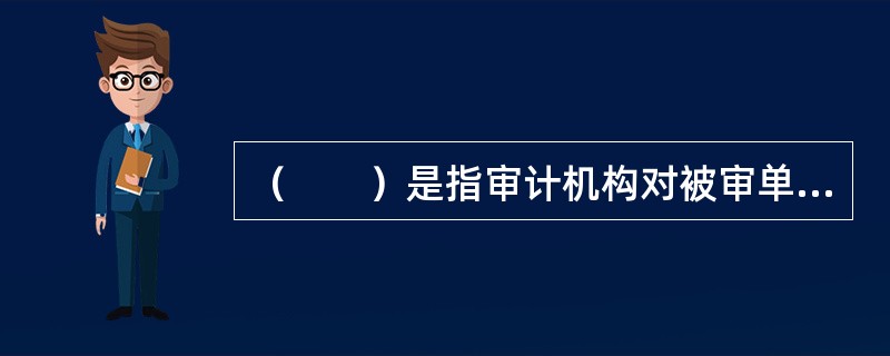 （　　）是指审计机构对被审单位或项目的经济活动包括财政、财务收支活动的效益性进行审查。