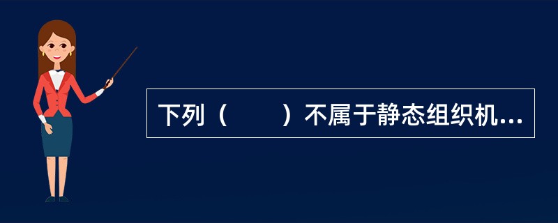 下列（　　）不属于静态组织机构设置的内容。