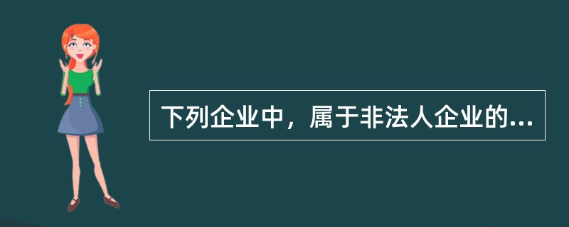 下列企业中，属于非法人企业的是( )。