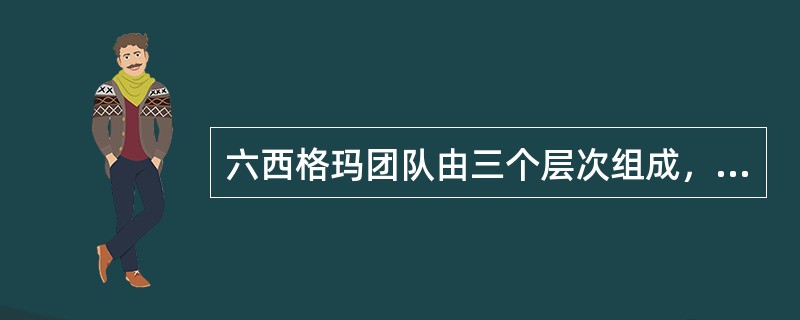 六西格玛团队由三个层次组成，其中骨干层是指()。