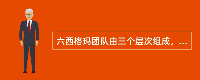 六西格玛团队由三个层次组成，其中，骨干层是指（　）。