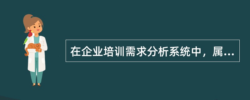 在企业培训需求分析系统中，属于企业层面培训需求分析的内容有（　）。