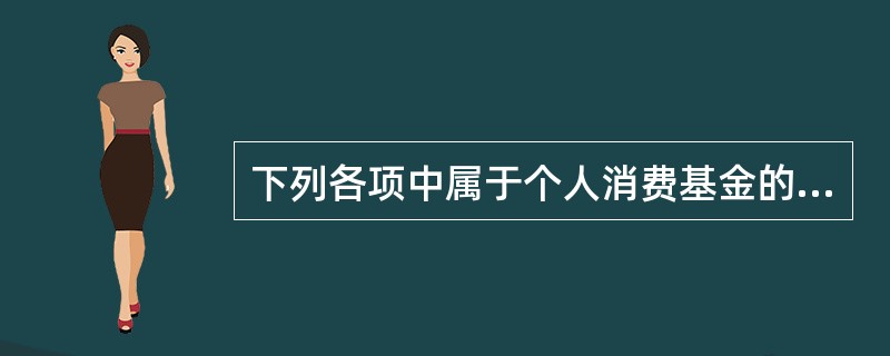 下列各项中属于个人消费基金的是（　）。