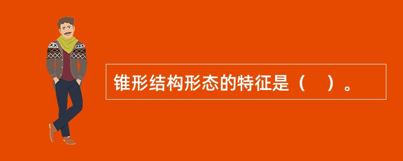 锥形结构形态的特征是（　）。