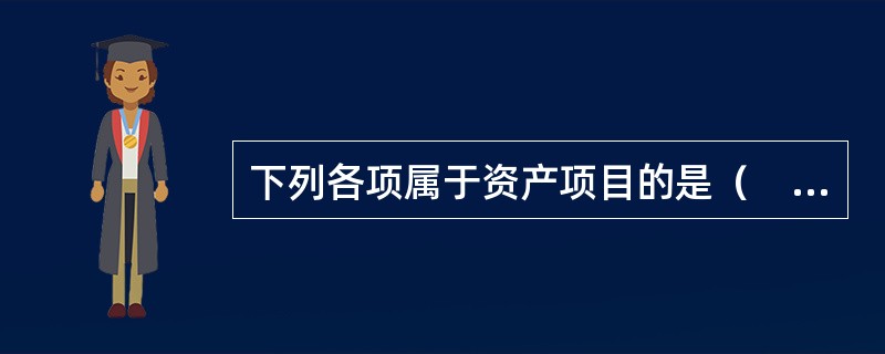 下列各项属于资产项目的是（　　）。
