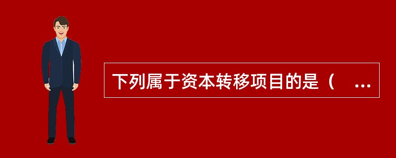 下列属于资本转移项目的是（　）。