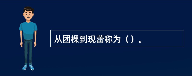 从团棵到现蕾称为（）。