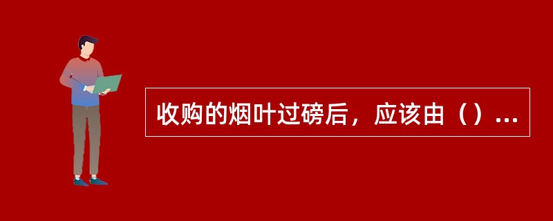 收购的烟叶过磅后，应该由（）运进仓库，按照等级对号码垛。