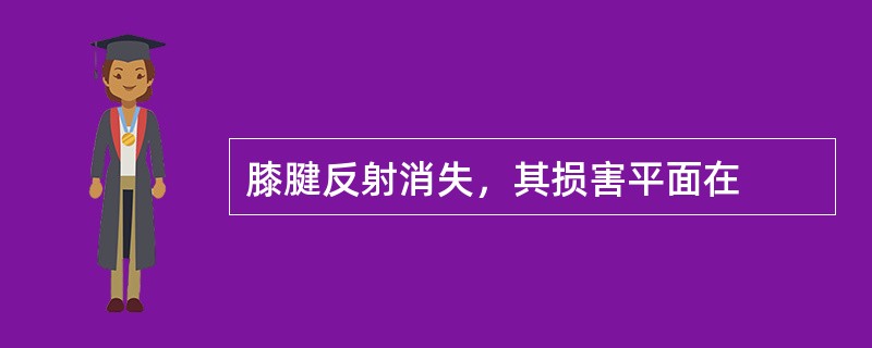 膝腱反射消失，其损害平面在