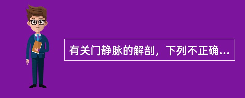 有关门静脉的解剖，下列不正确的是（）