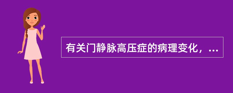 有关门静脉高压症的病理变化，下列错误的是（）