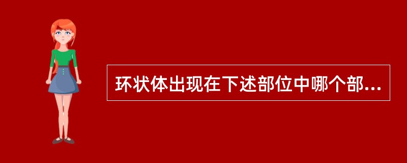 环状体出现在下述部位中哪个部位：