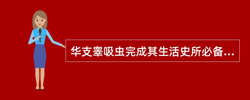 华支睾吸虫完成其生活史所必备的条件包括（）