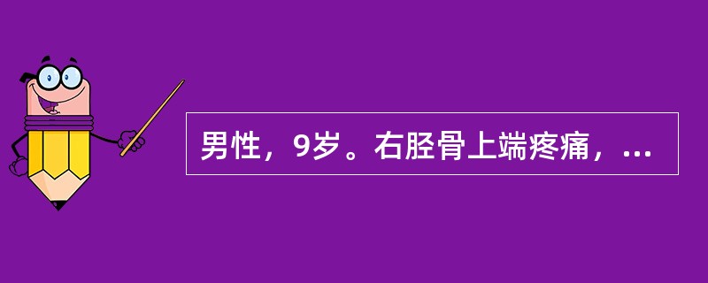 男性，9岁。右胫骨上端疼痛，肿胀，压痛，关节活动受限。X线检查：右胫骨上端骨密度增高，边界不清，有骨膜反应。治疗应选择
