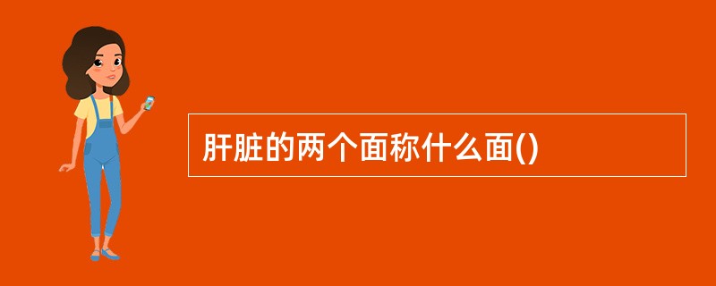 肝脏的两个面称什么面()
