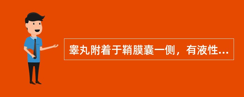 睾丸附着于鞘膜囊一侧，有液性暗区三面包绕于睾丸周围，此种积液称()